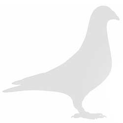 VHA-2026-BBH-15884