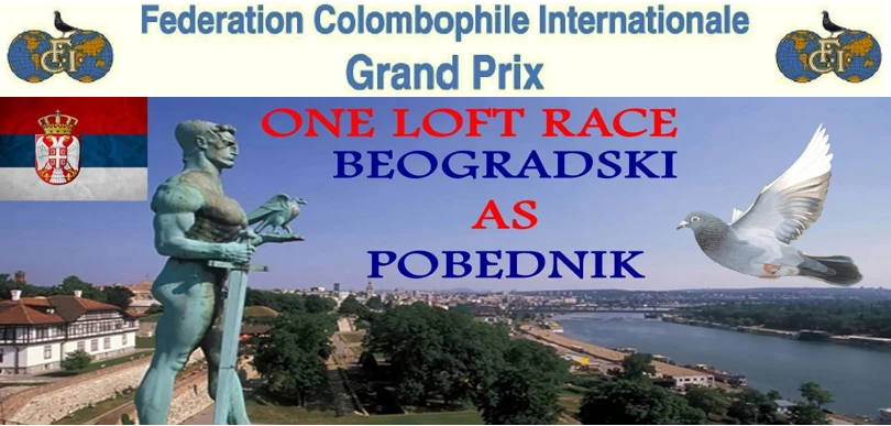 Belgrade “Ace the Winner” fotoğrafı