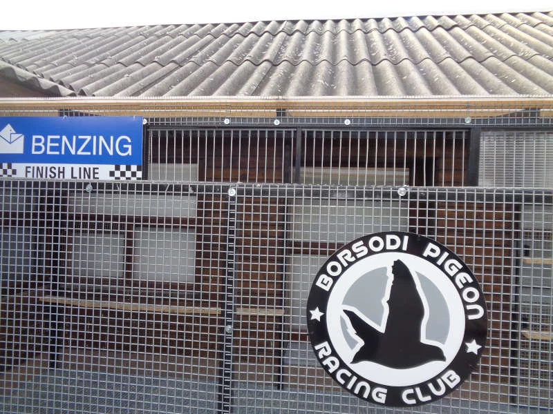 Borsodi Pigeon Racing Club fotoğrafı