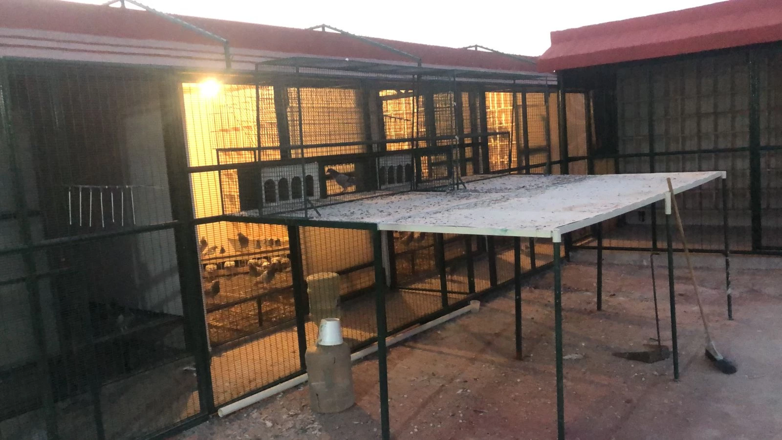 CLUB ALAS CAPILLA A.C. fotoğrafı