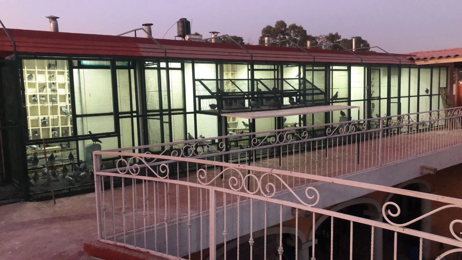 CLUB ALAS CAPILLA A.C. fotoğrafı