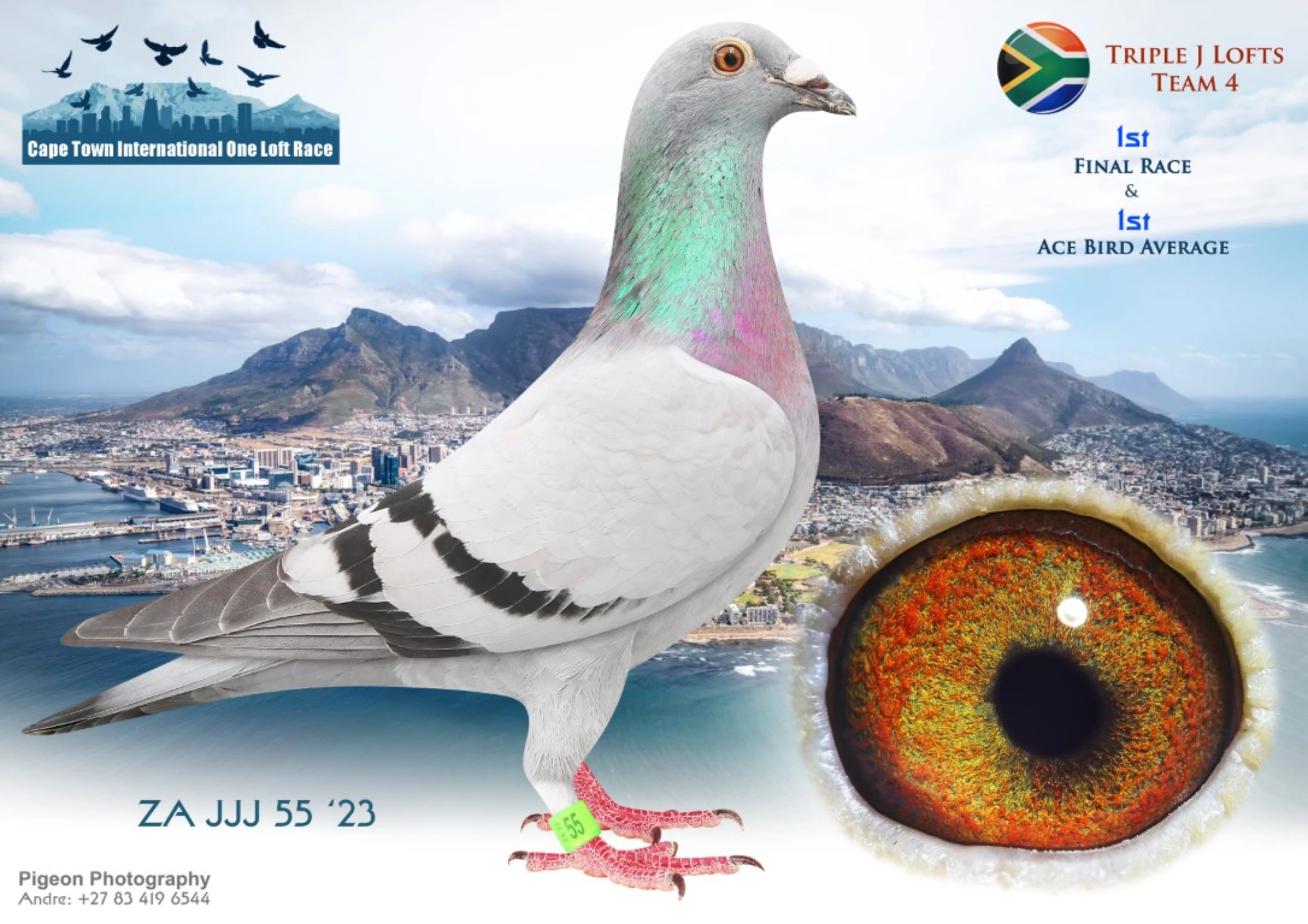 Cape Town International Summer OLR fotoğrafı