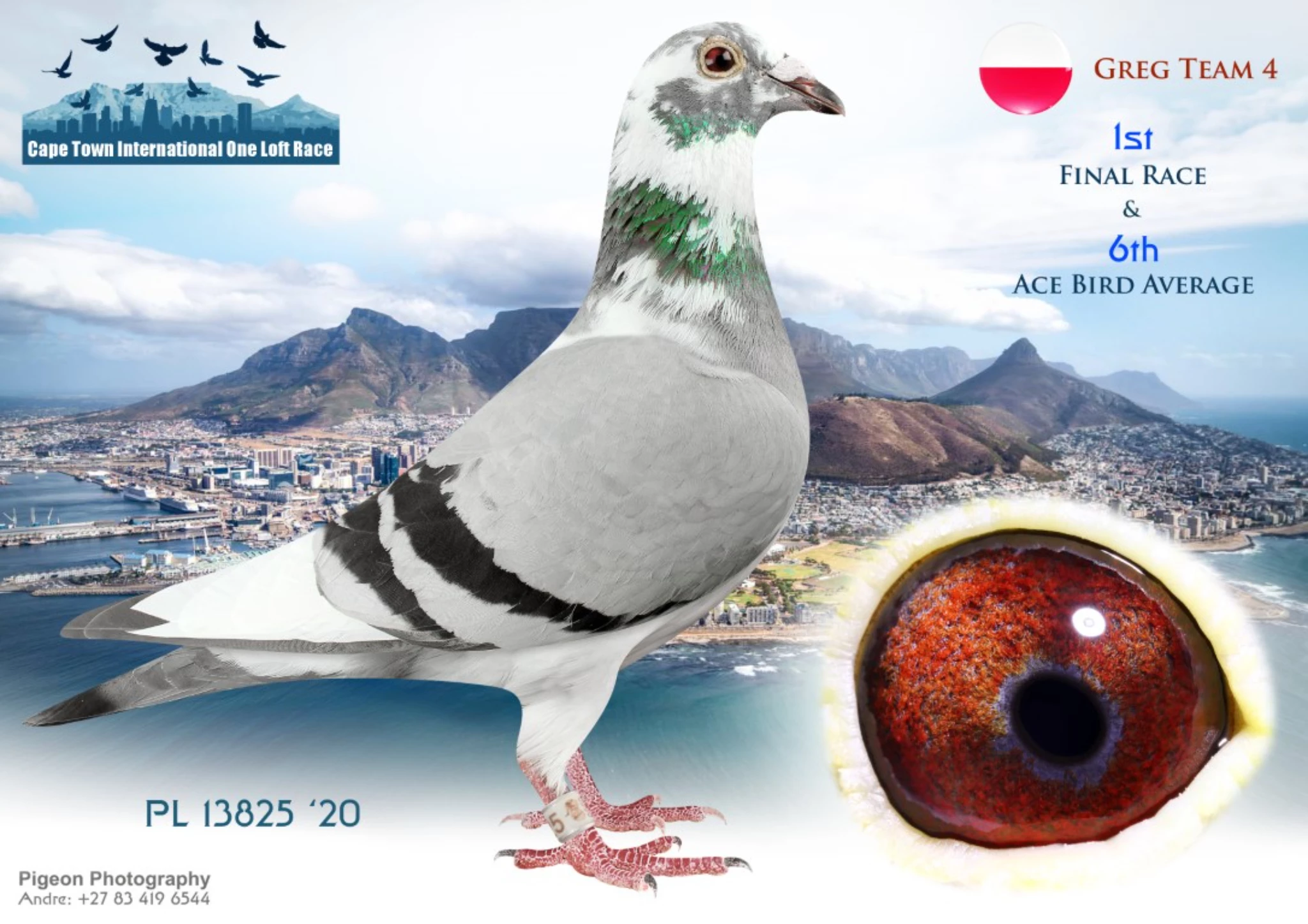Cape Town International Summer OLR fotoğrafı