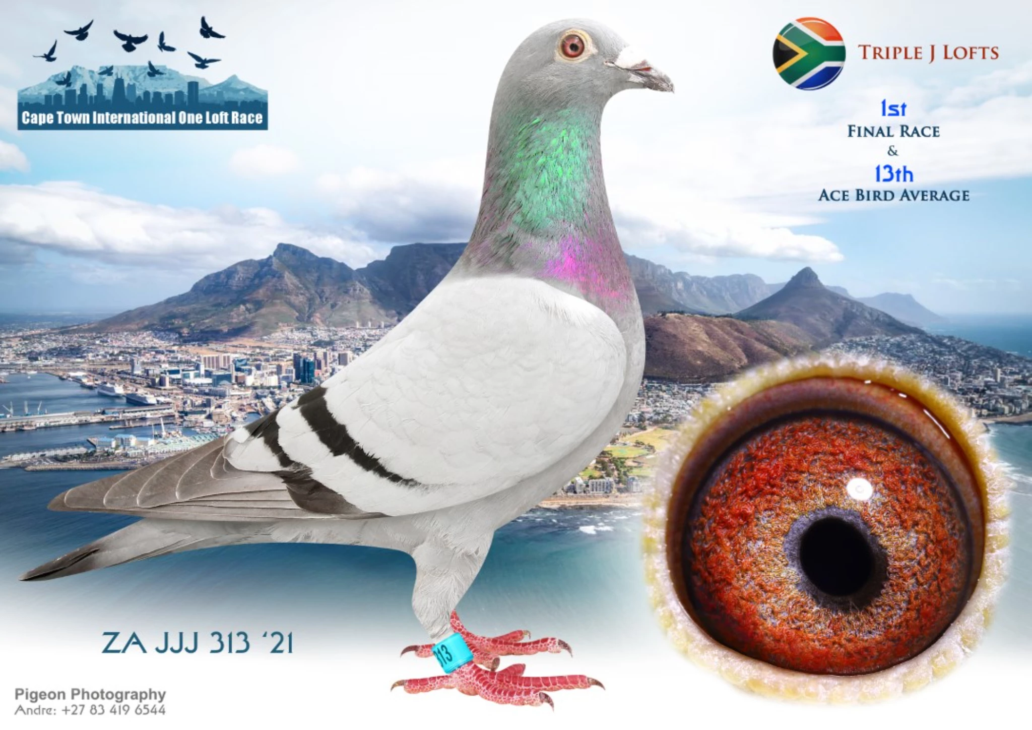 Cape Town International Summer OLR fotoğrafı