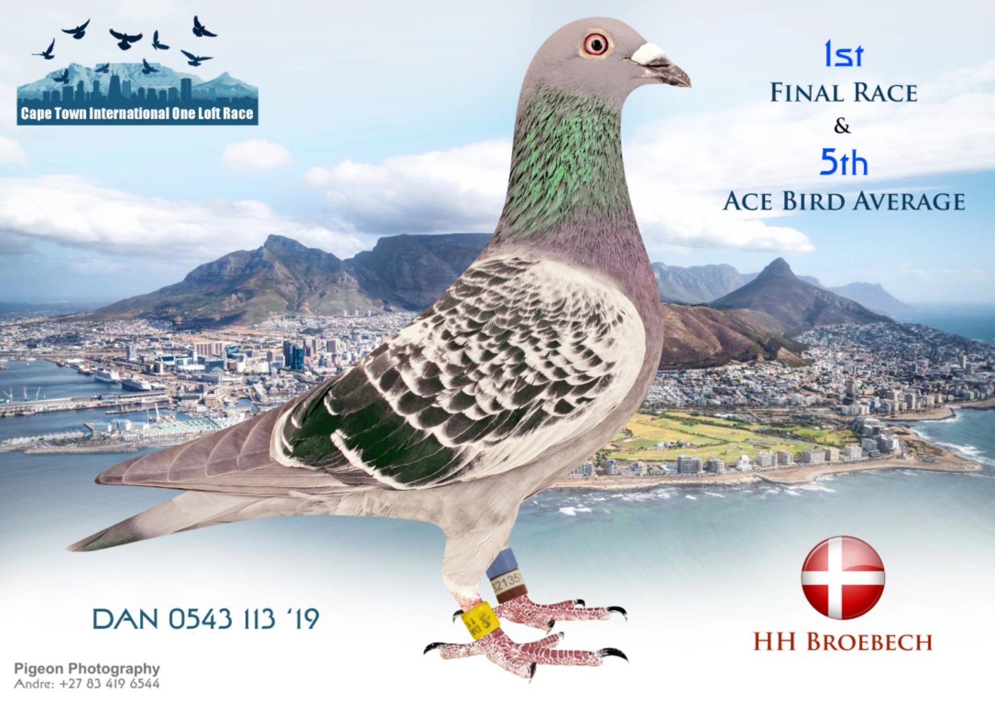 Cape Town International Summer OLR fotoğrafı