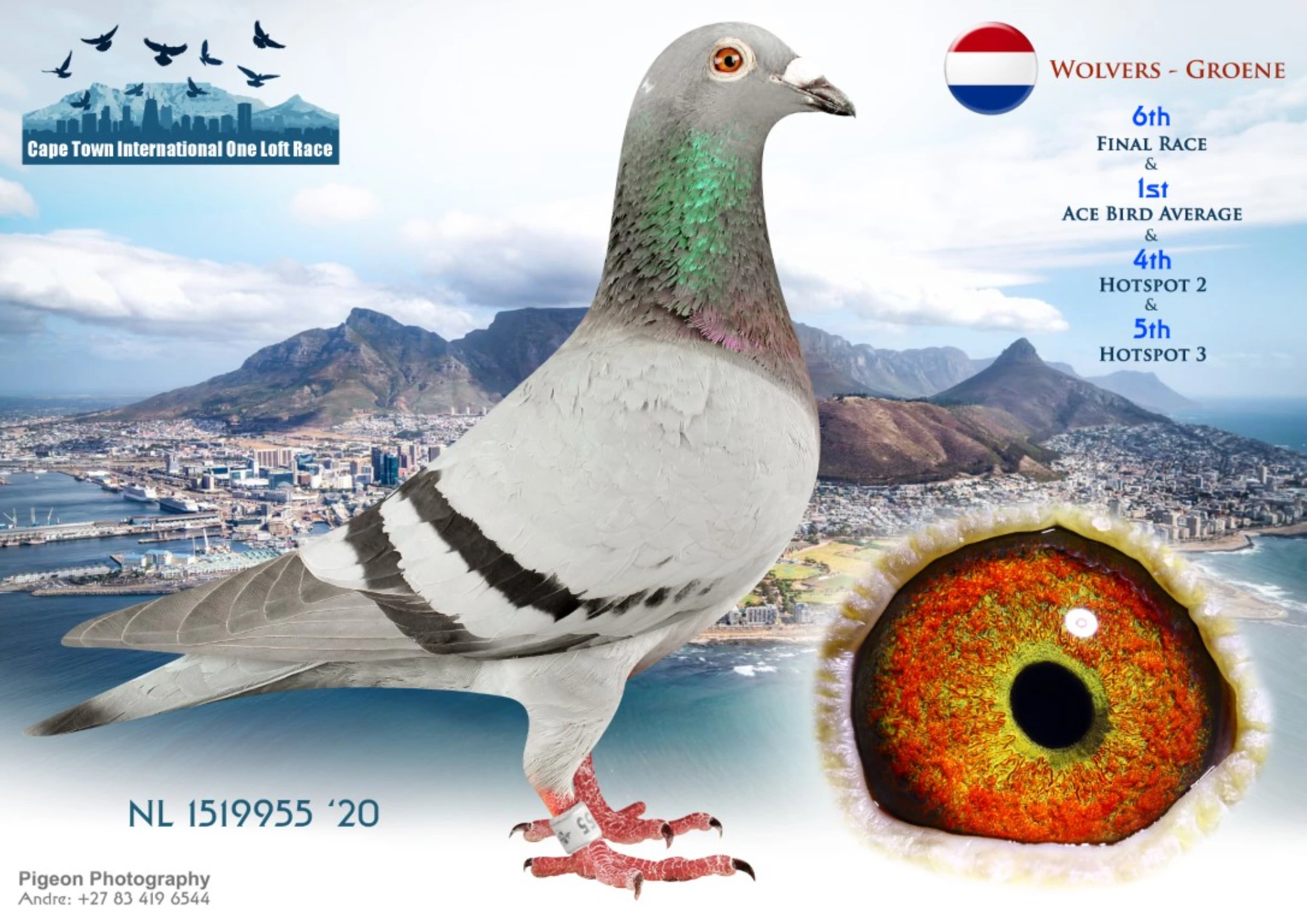 Cape Town International Summer OLR fotoğrafı