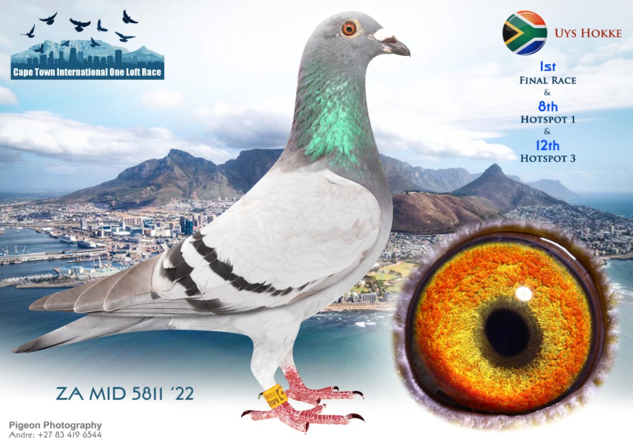 Cape Town International Summer OLR fotoğrafı