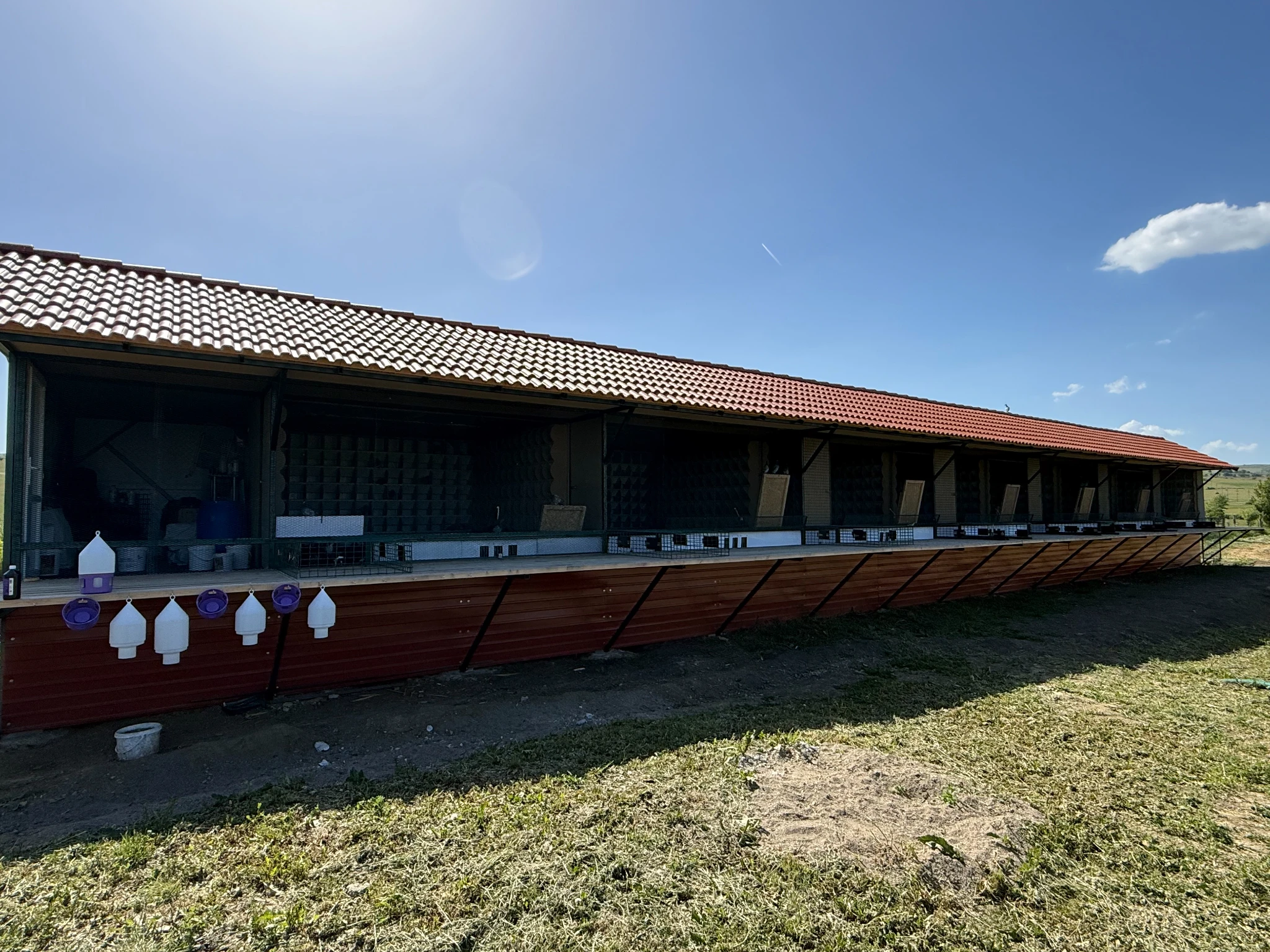 Carpathian Survivor Pigeon Loft fotoğrafı