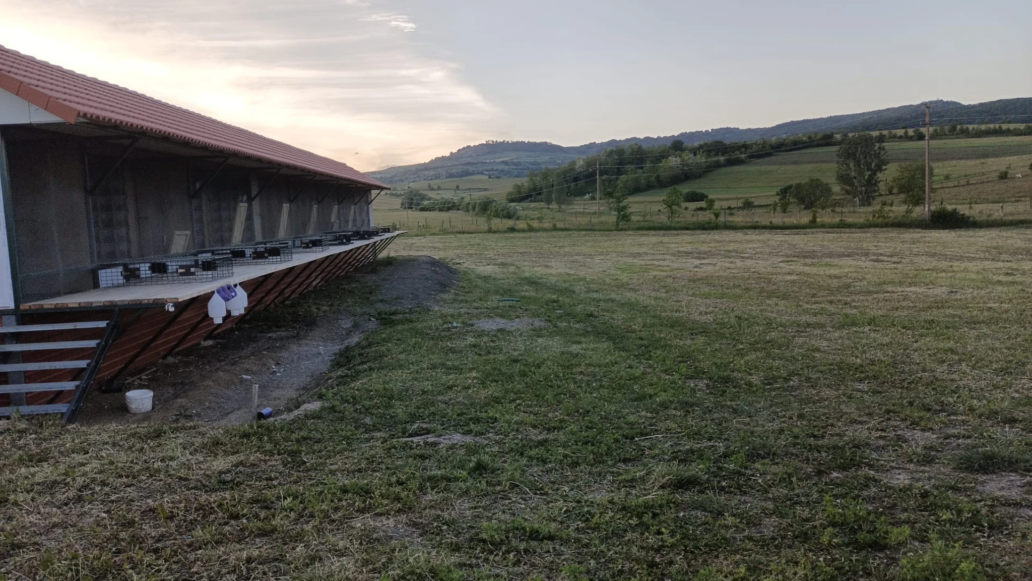 Carpathian Survivor Pigeon Loft fotoğrafı