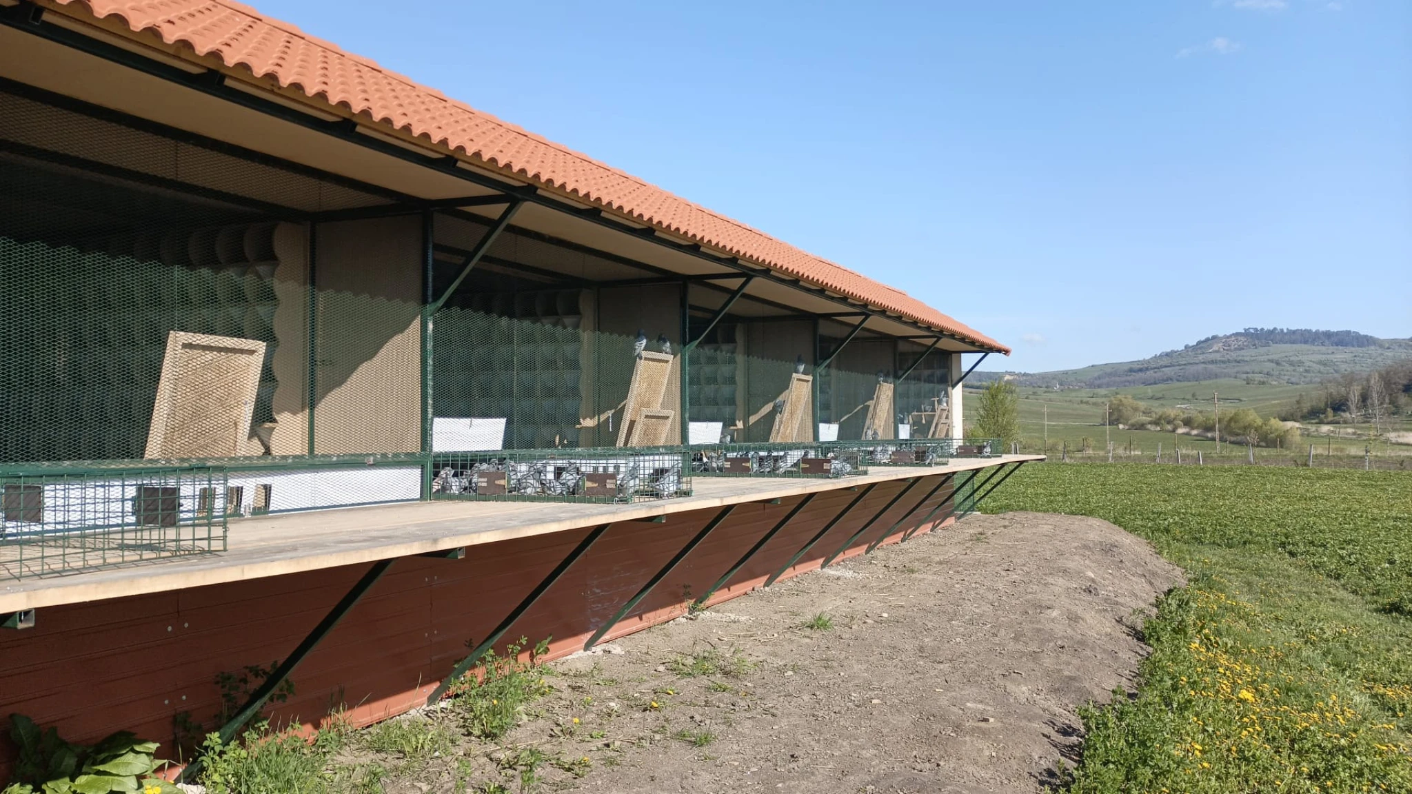 Carpathian Survivor Pigeon Loft fotoğrafı