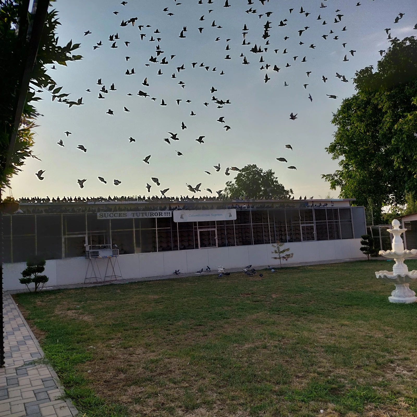 Columbodrom Suprem fotoğrafı
