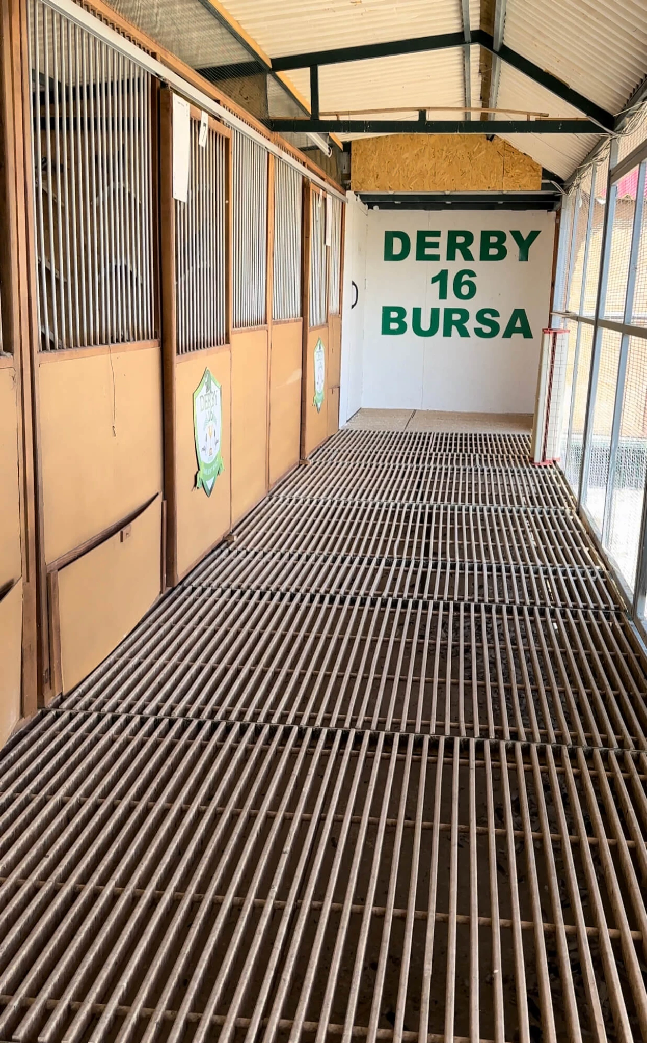 Derby 16 Bursa fotoğrafı