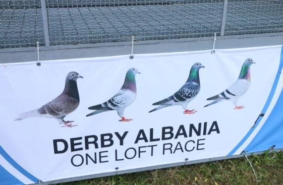 Derby Albania OLR fotoğrafı