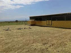Derby Halkidiki fotoğrafı