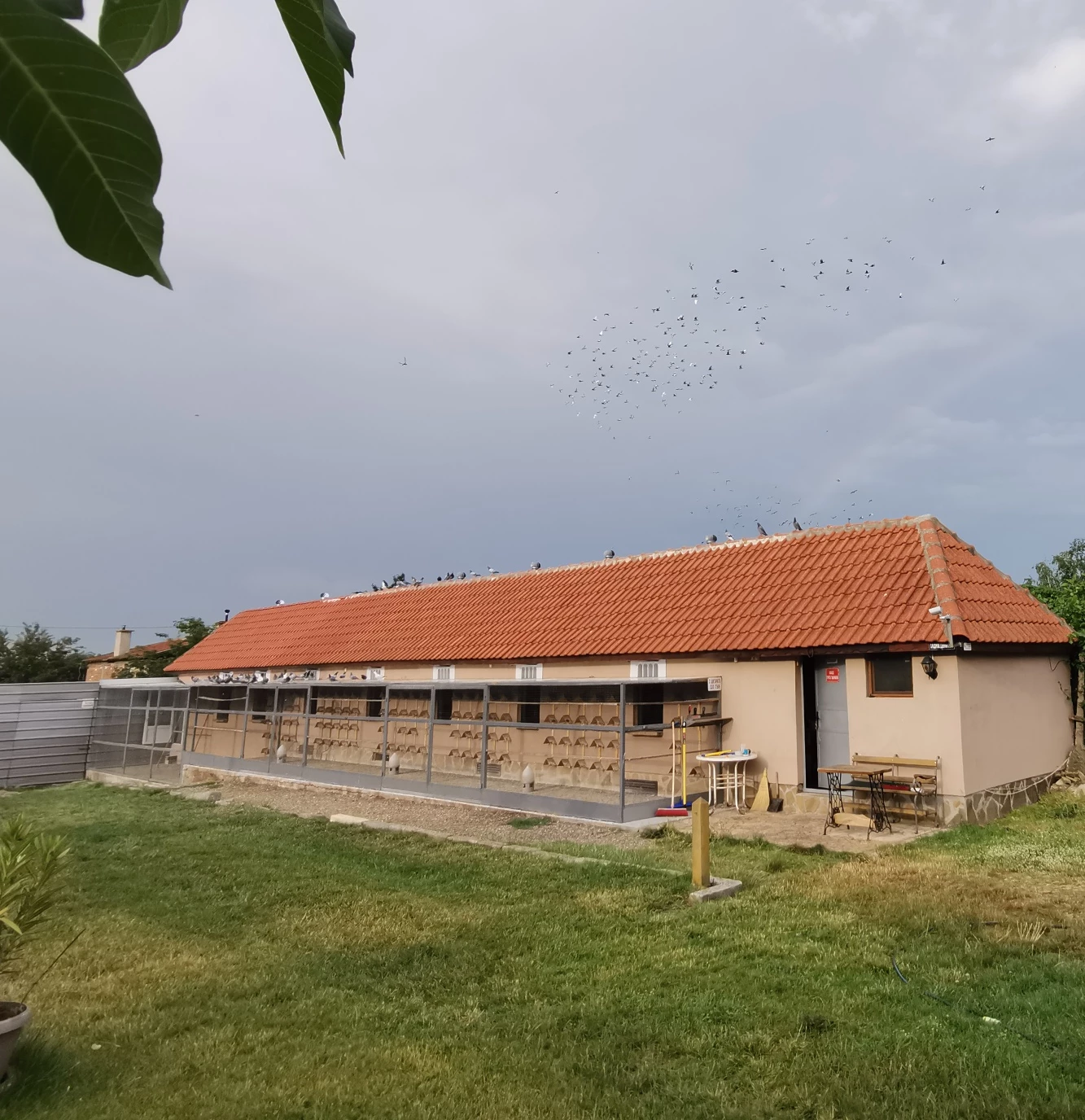 Derby Sliven fotoğrafı