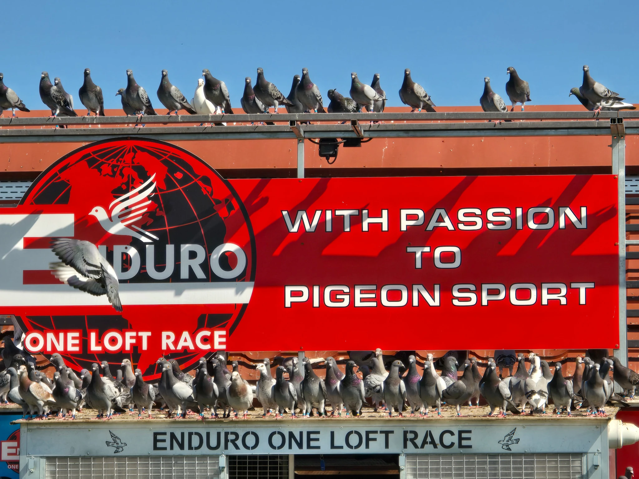 Enduro One Loft Race fotoğrafı