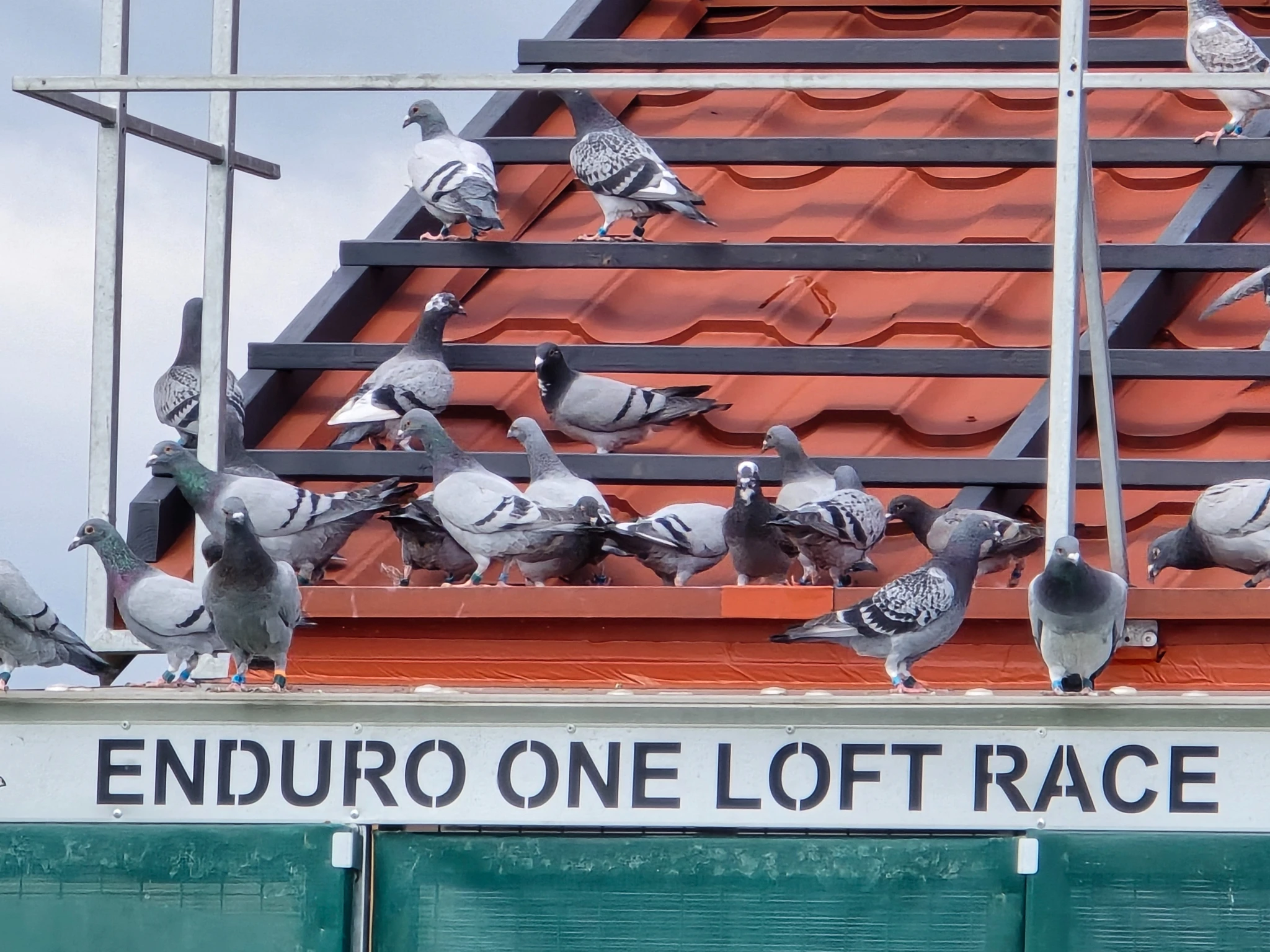 Enduro One Loft Race fotoğrafı