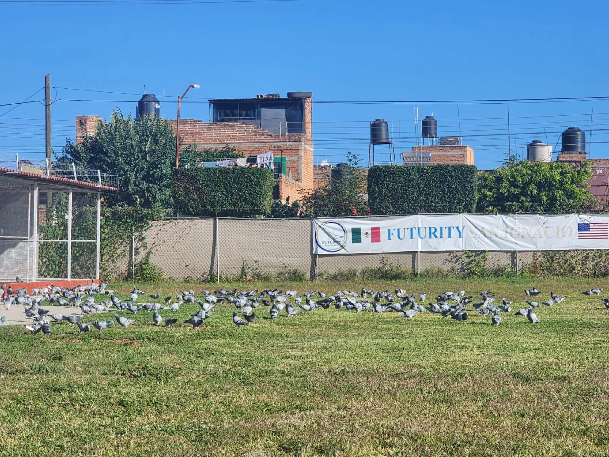 FUTURITY SAN IGNACIO fotoğrafı
