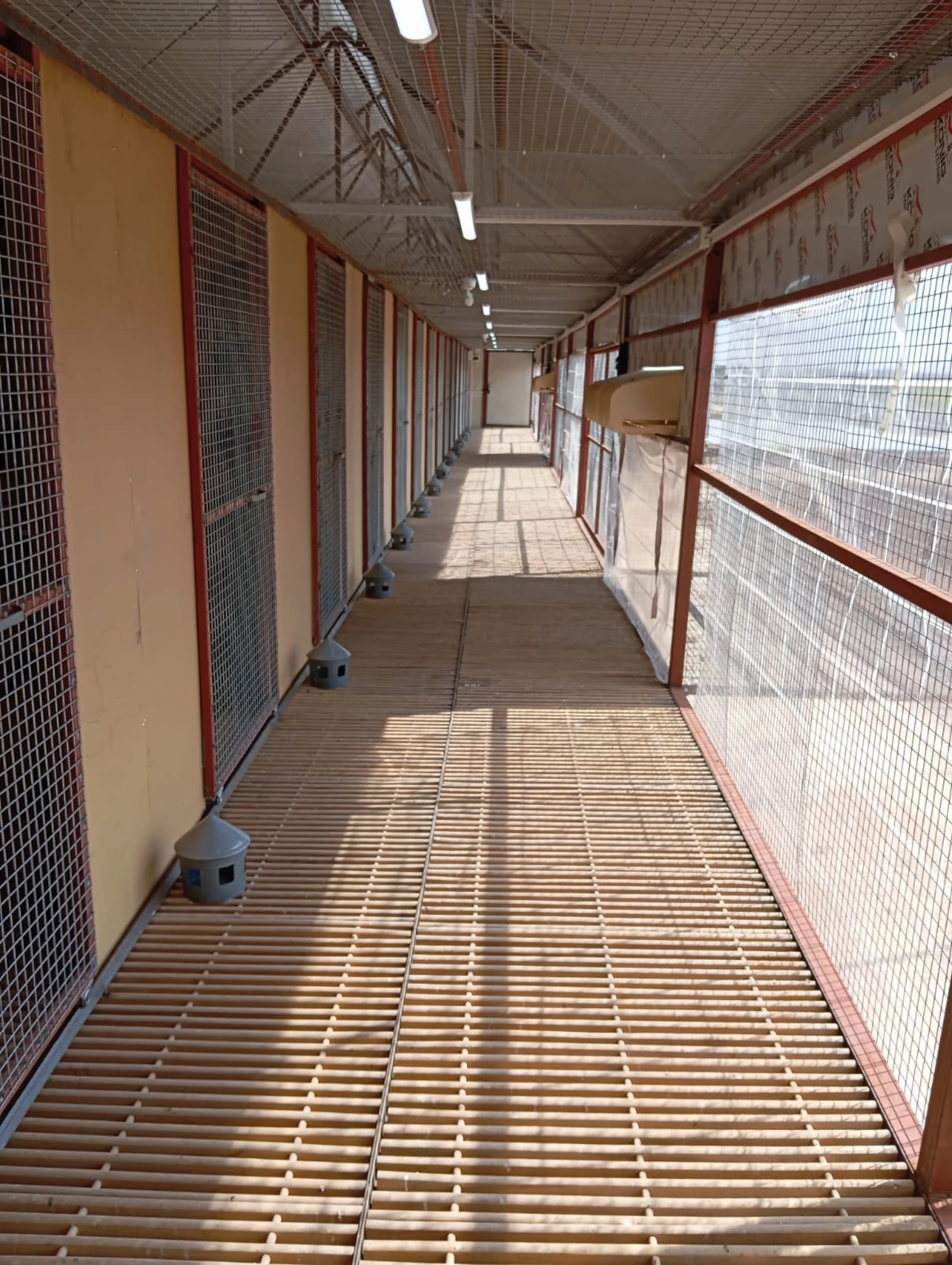 Güneydoğu Arena OLR fotoğrafı