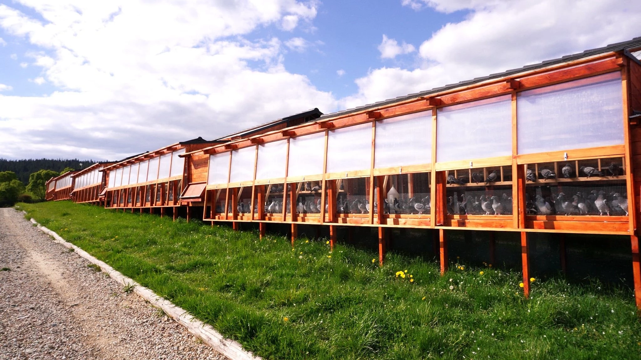 Giewont FCI OLR fotoğrafı