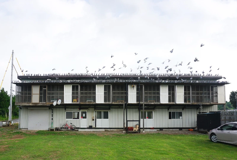 JHPA Tsukuba International Loft fotoğrafı