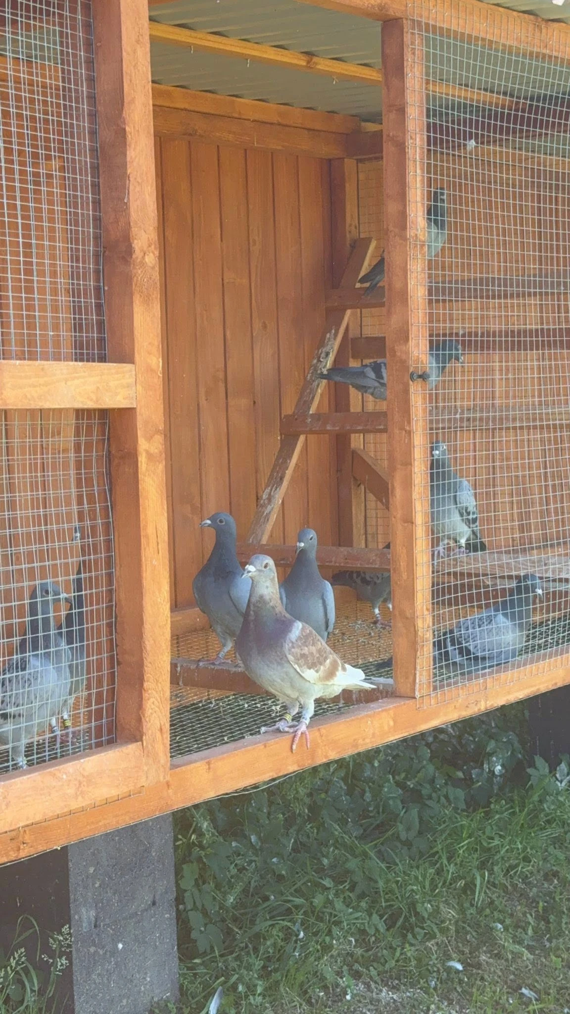MWG U Cudusia fotoğrafı