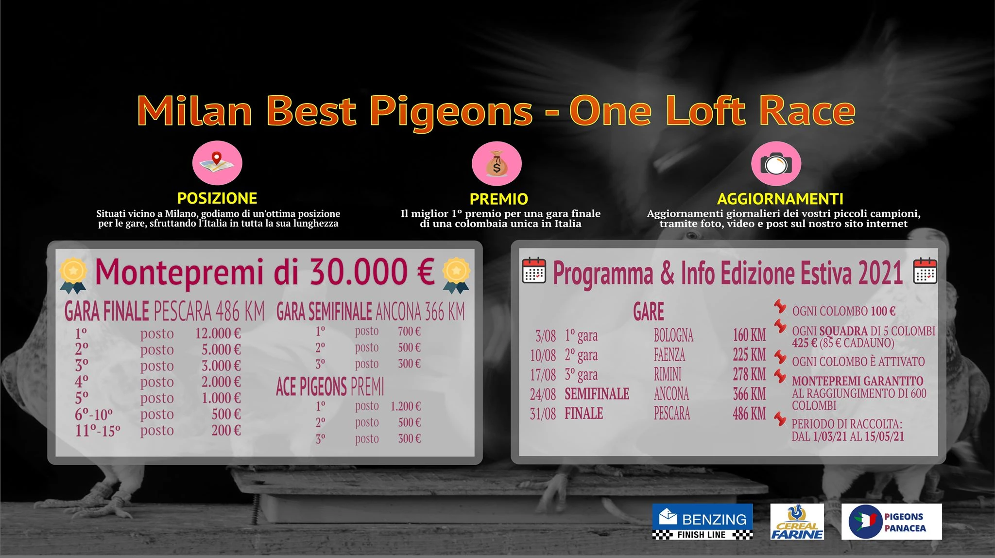 Milan Best Pigeon OLR fotoğrafı