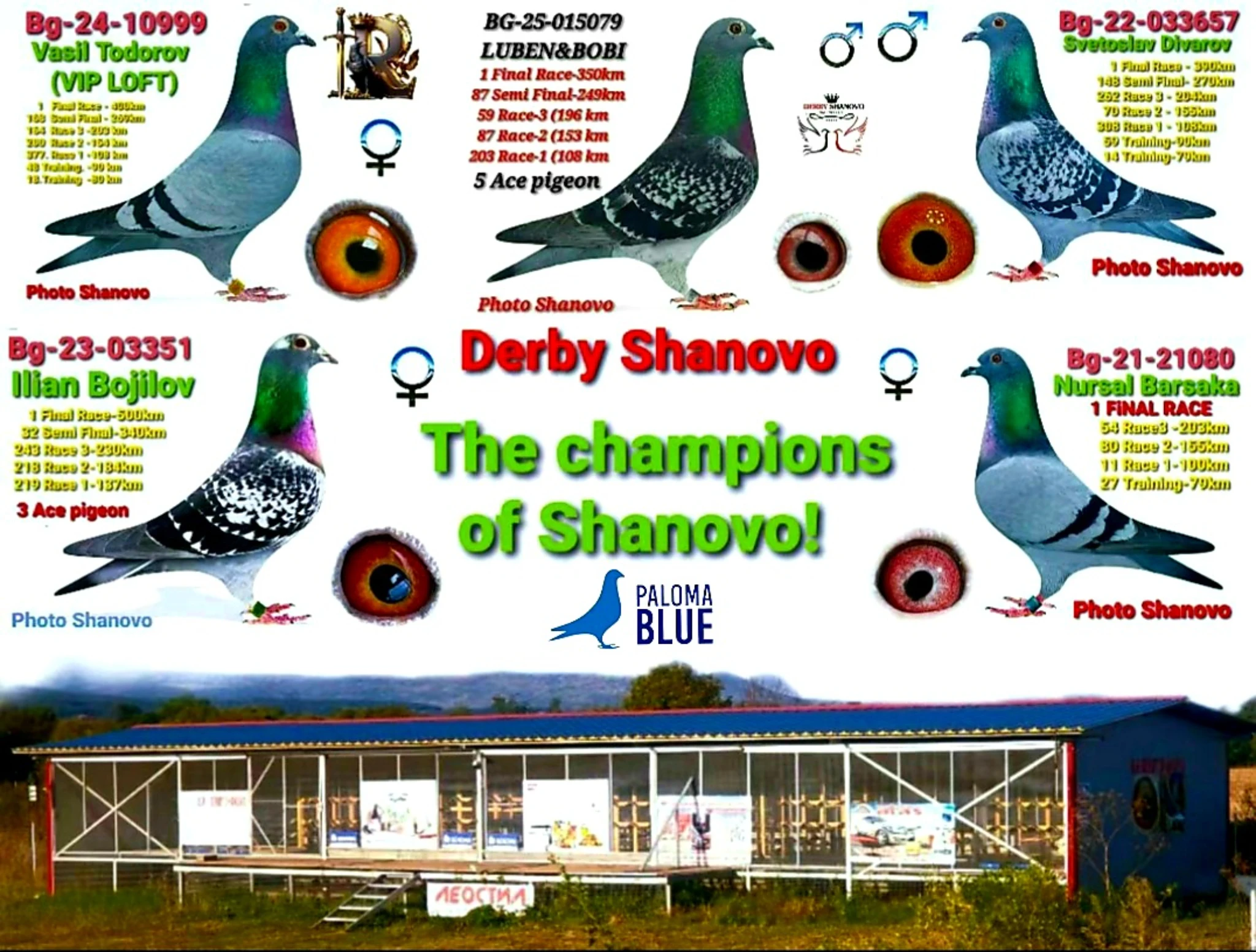OLR Derby Shanovo fotoğrafı