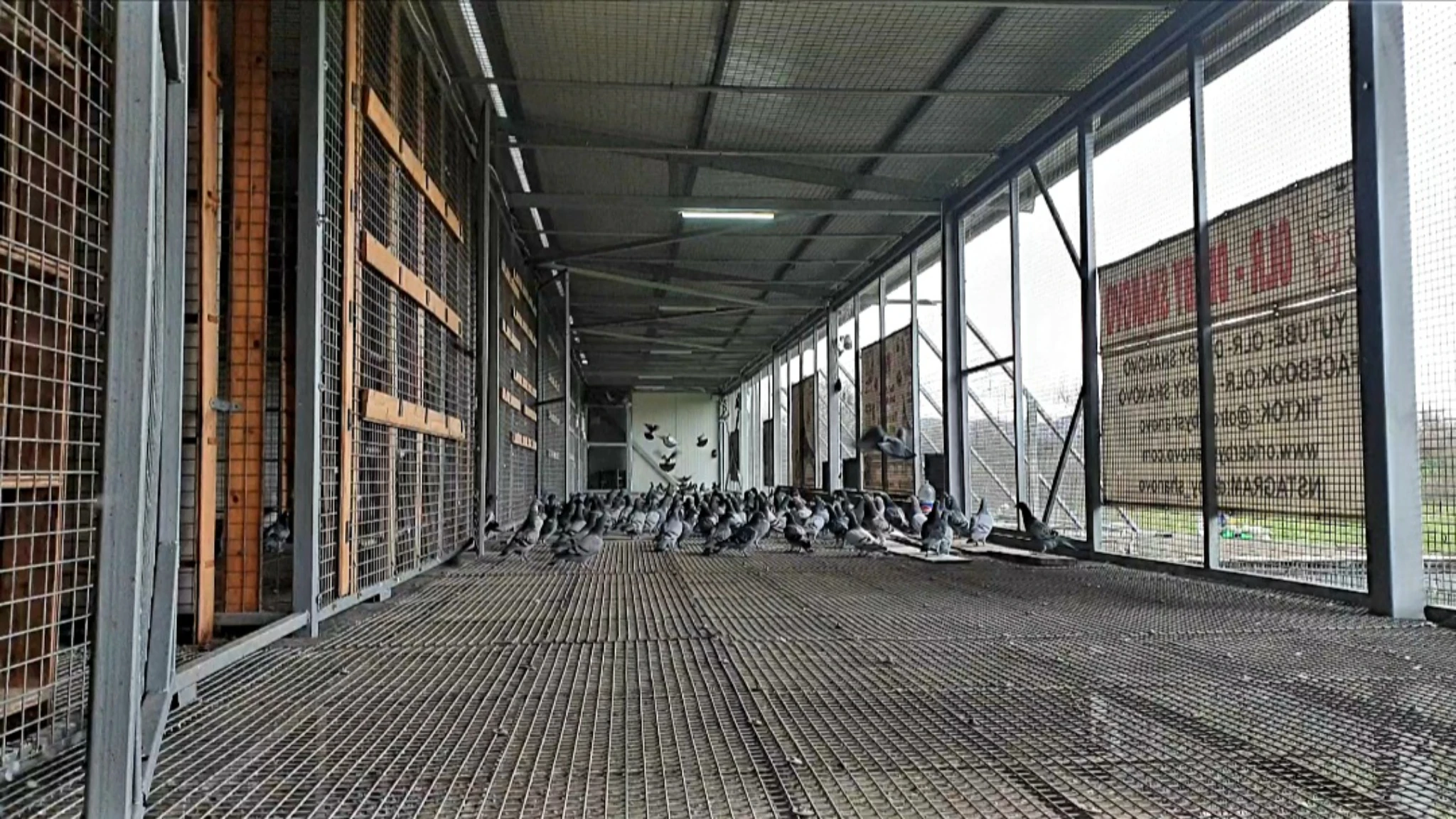 OLR Derby Shanovo fotoğrafı