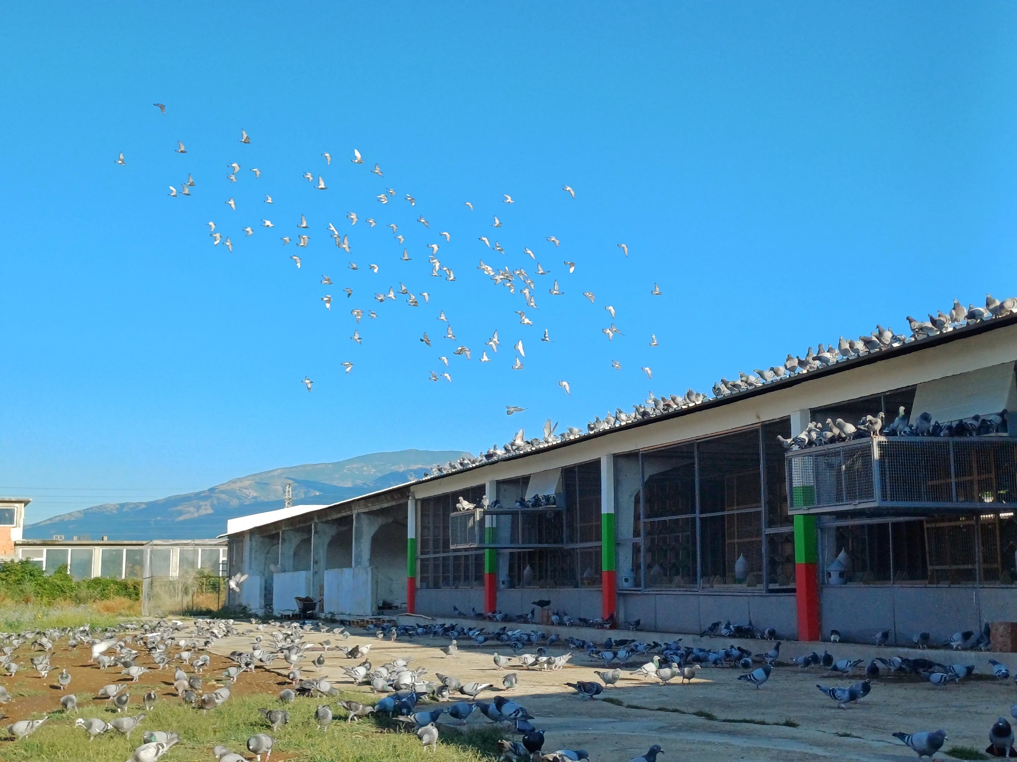 OLR Rose Valley fotoğrafı