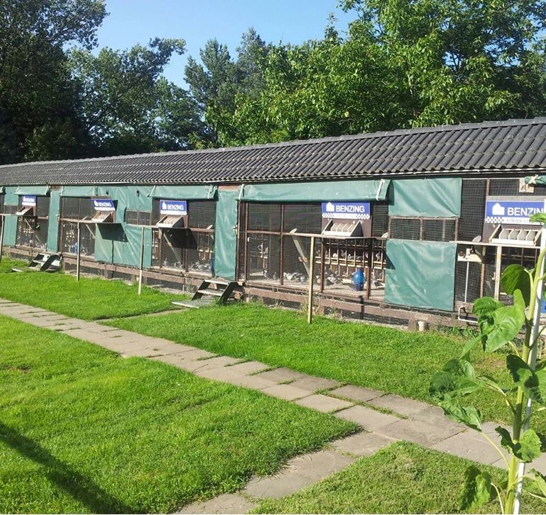 Ostseeflug Usedom fotoğrafı