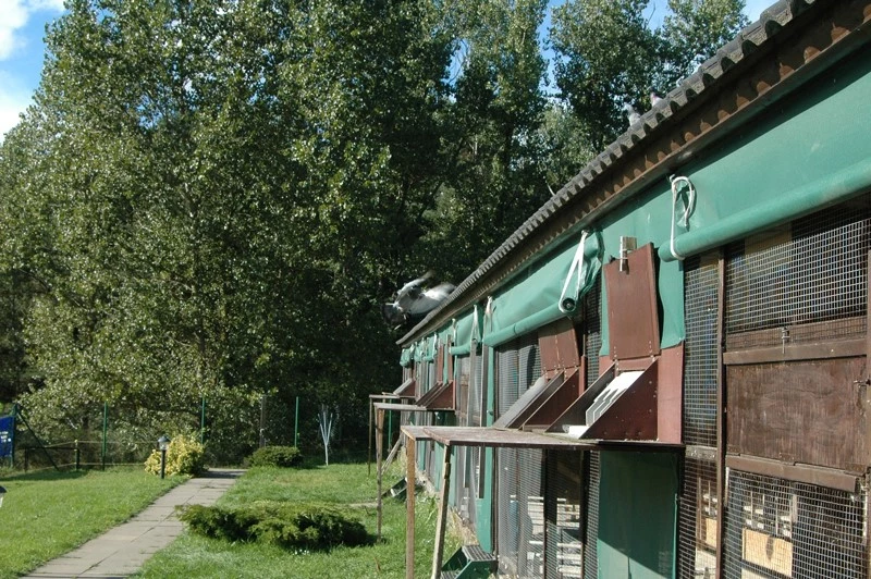 Ostseeflug Usedom fotoğrafı
