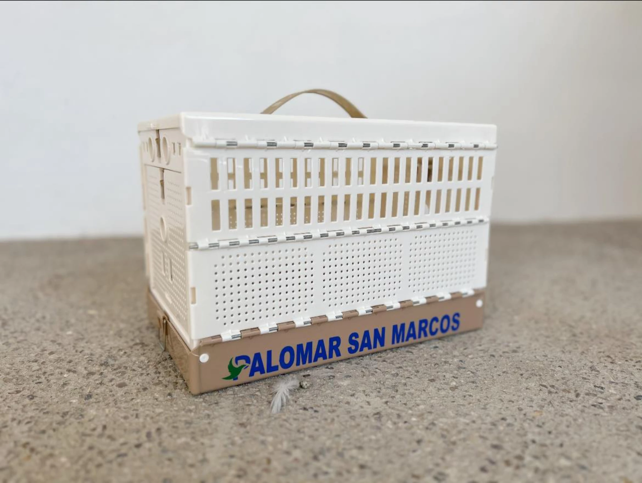 PALOMAR SAN MARCOS fotoğrafı