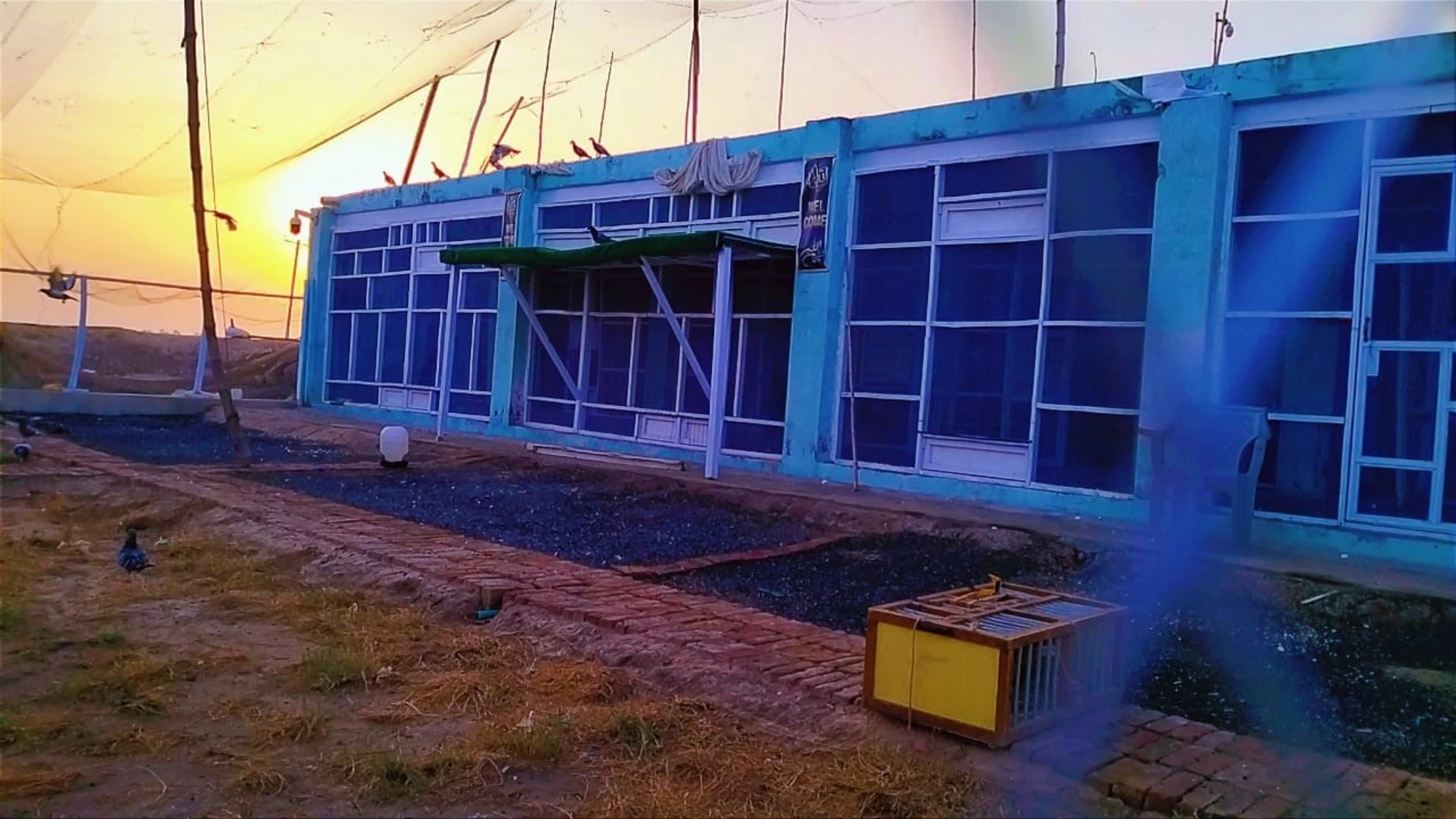 Pakistan Sargodha International Pigeon League fotoğrafı