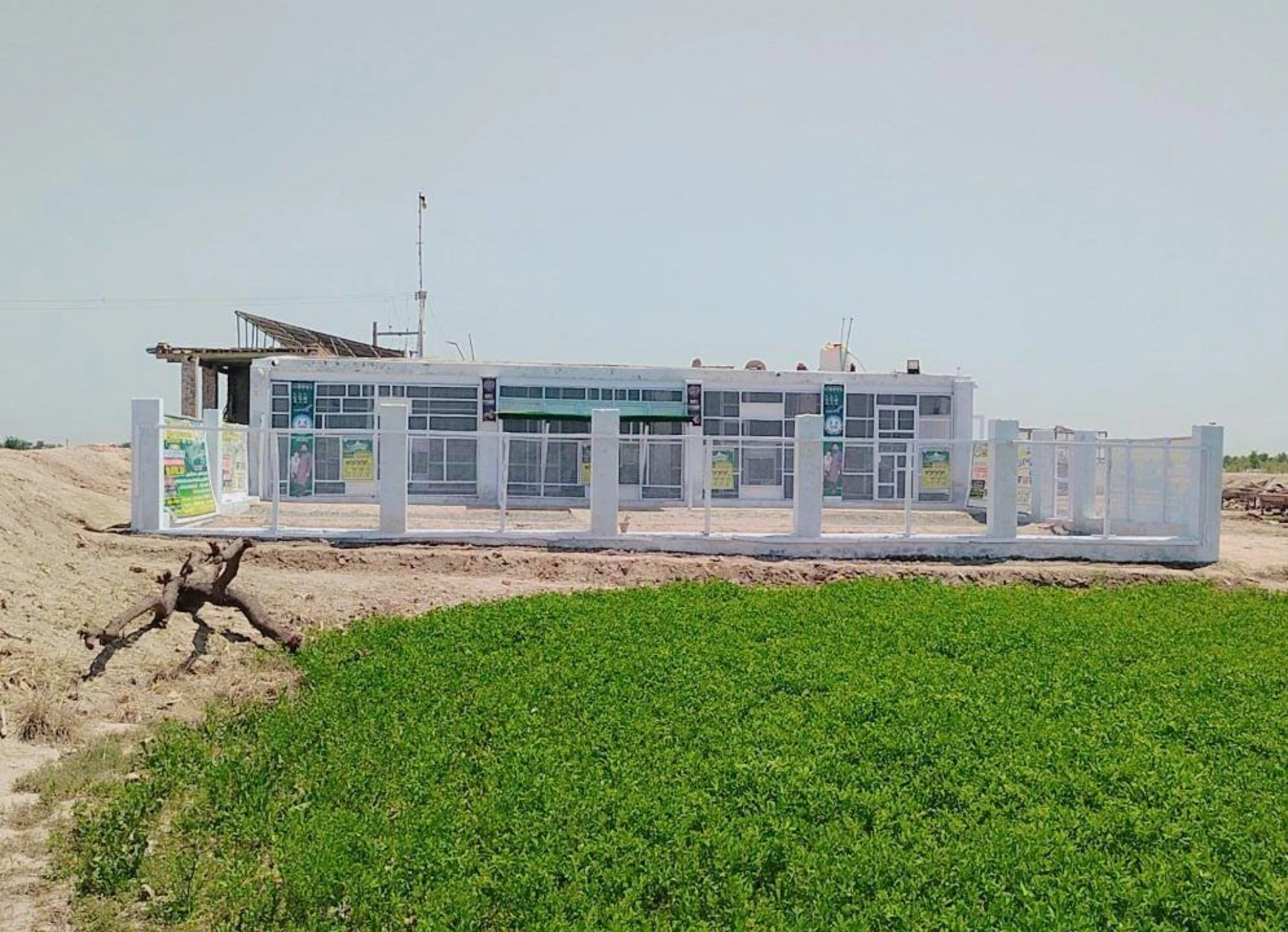 Pakistan Sargodha International Pigeon League fotoğrafı