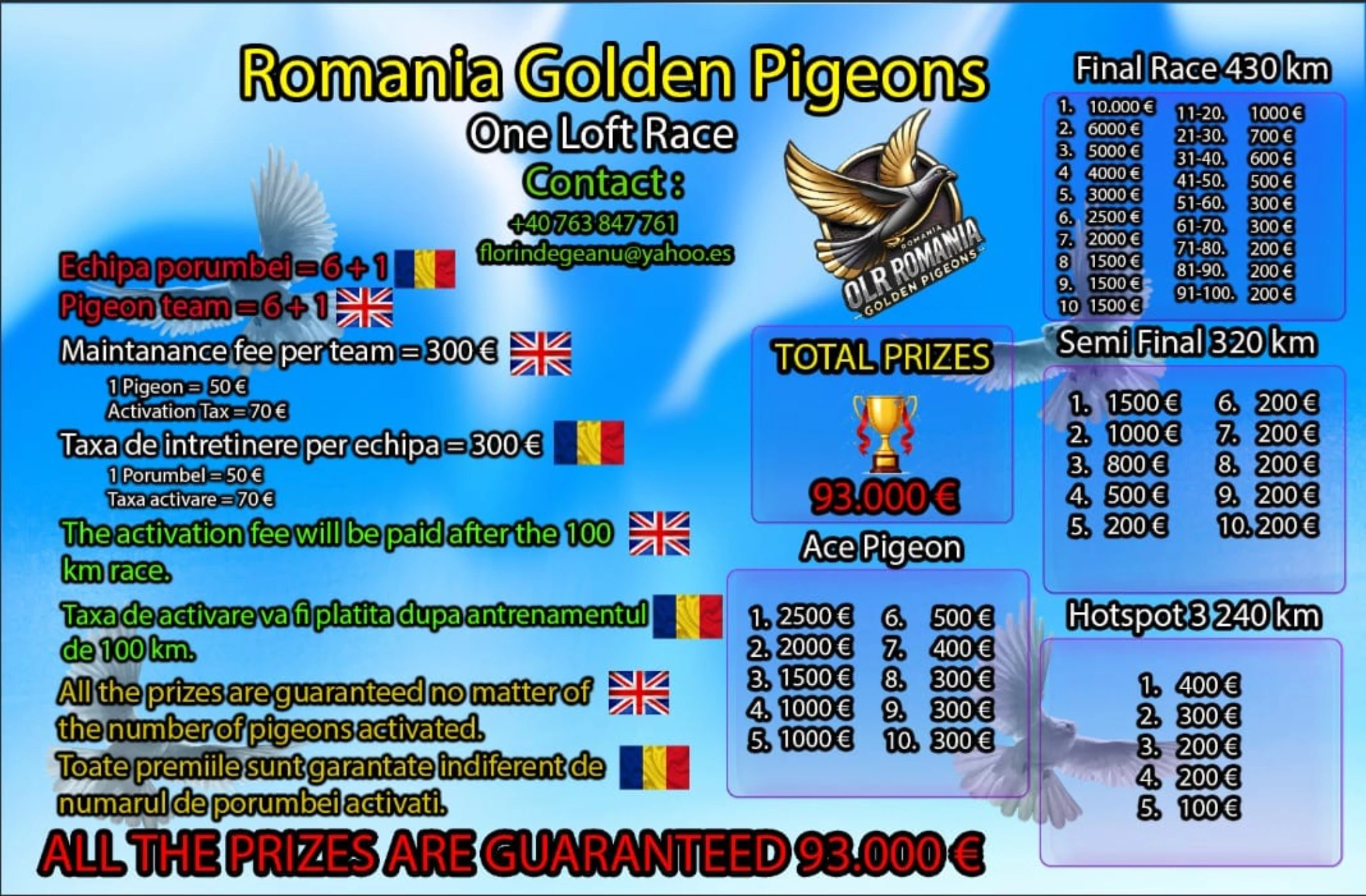 Romanian Golden Pigeons fotoğrafı