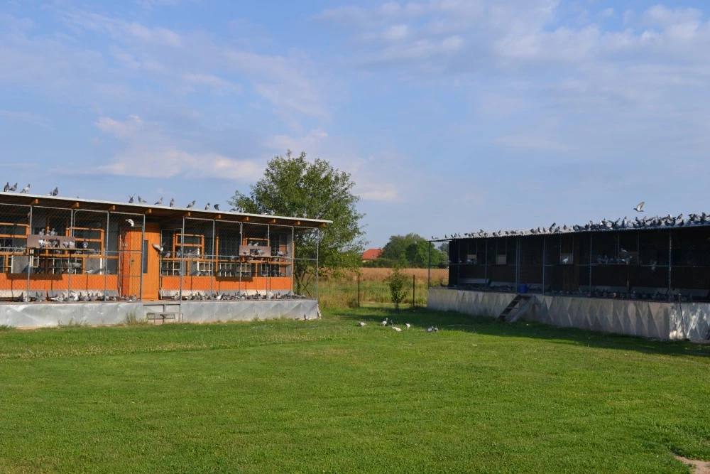 TS Řečany nad Labem fotoğrafı