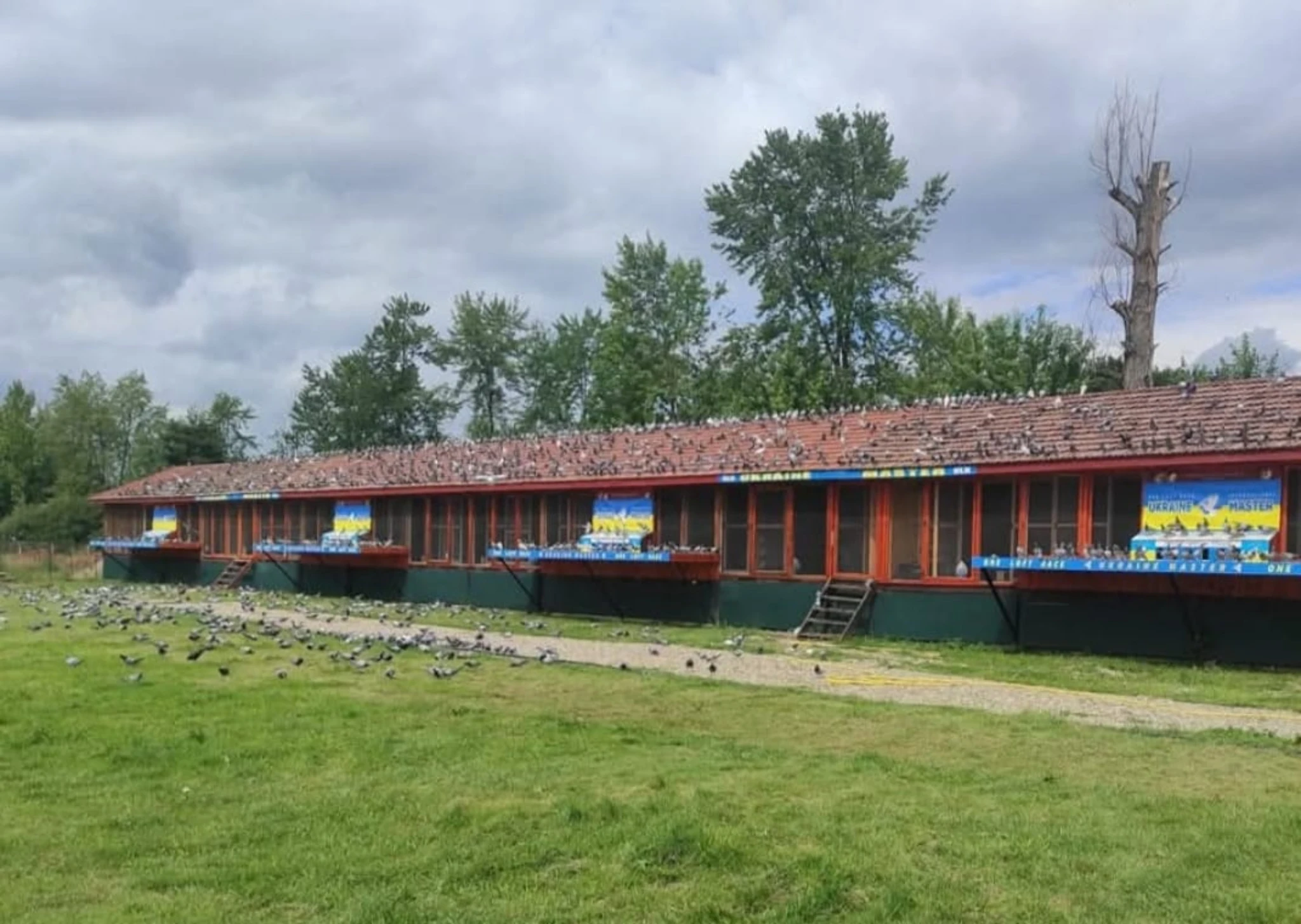 Ukraine Master Grand Prix fotoğrafı