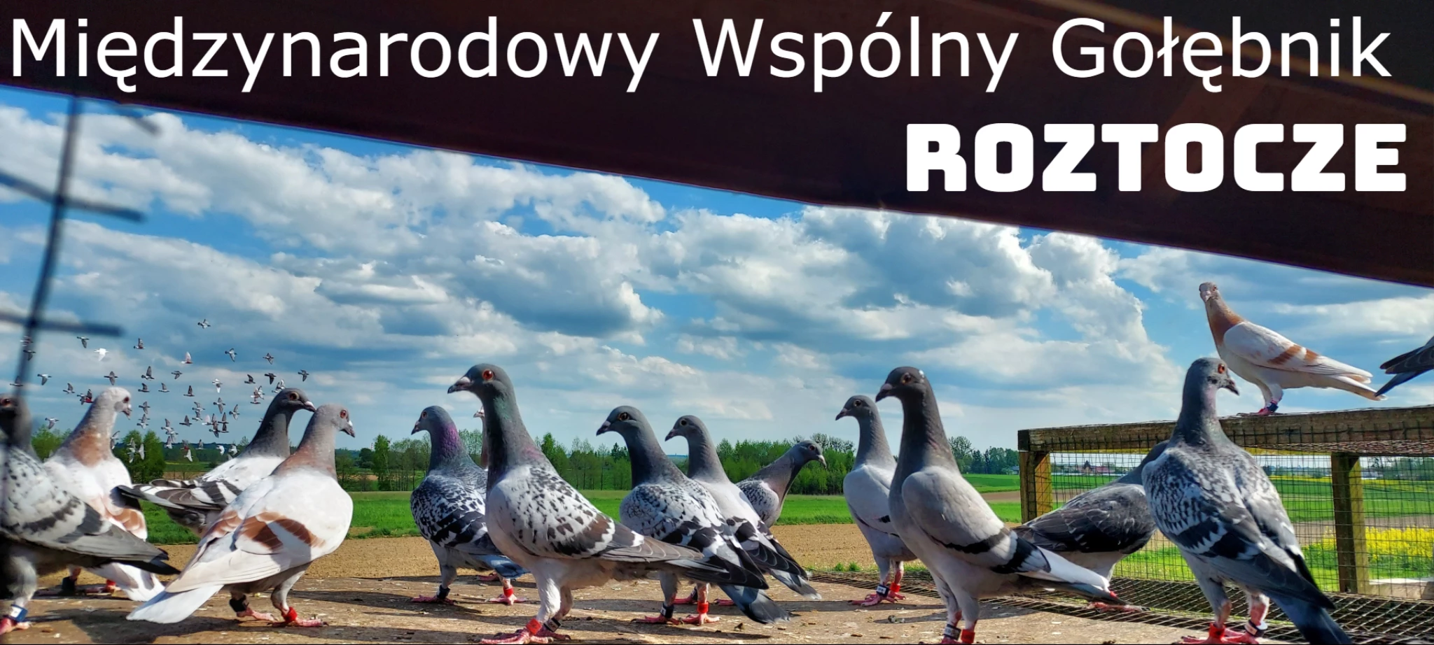 WG ROZTOCZE fotoğrafı