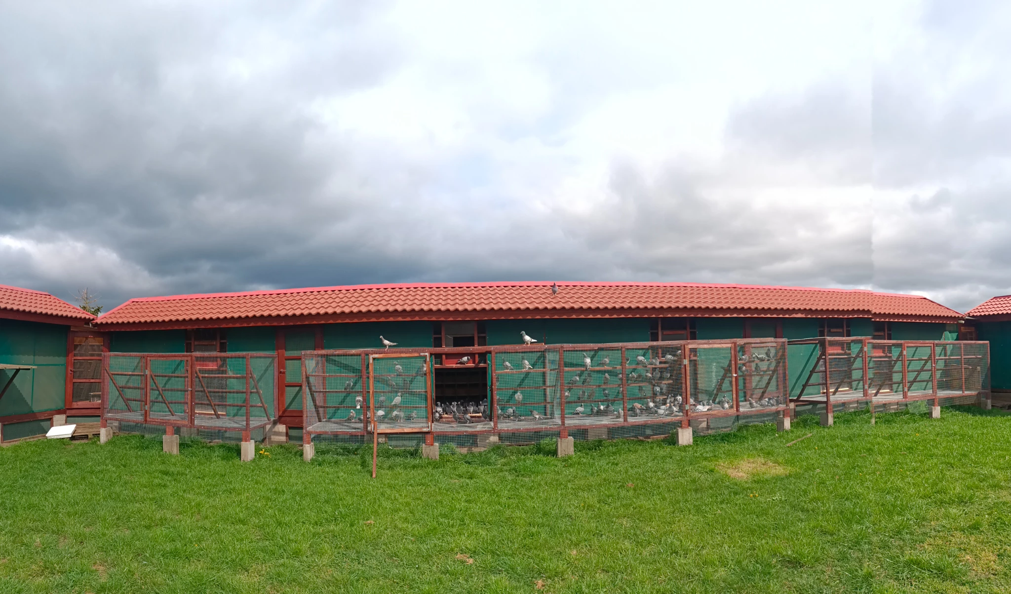 Wspólny Gołębnik SuperGolab fotoğrafı