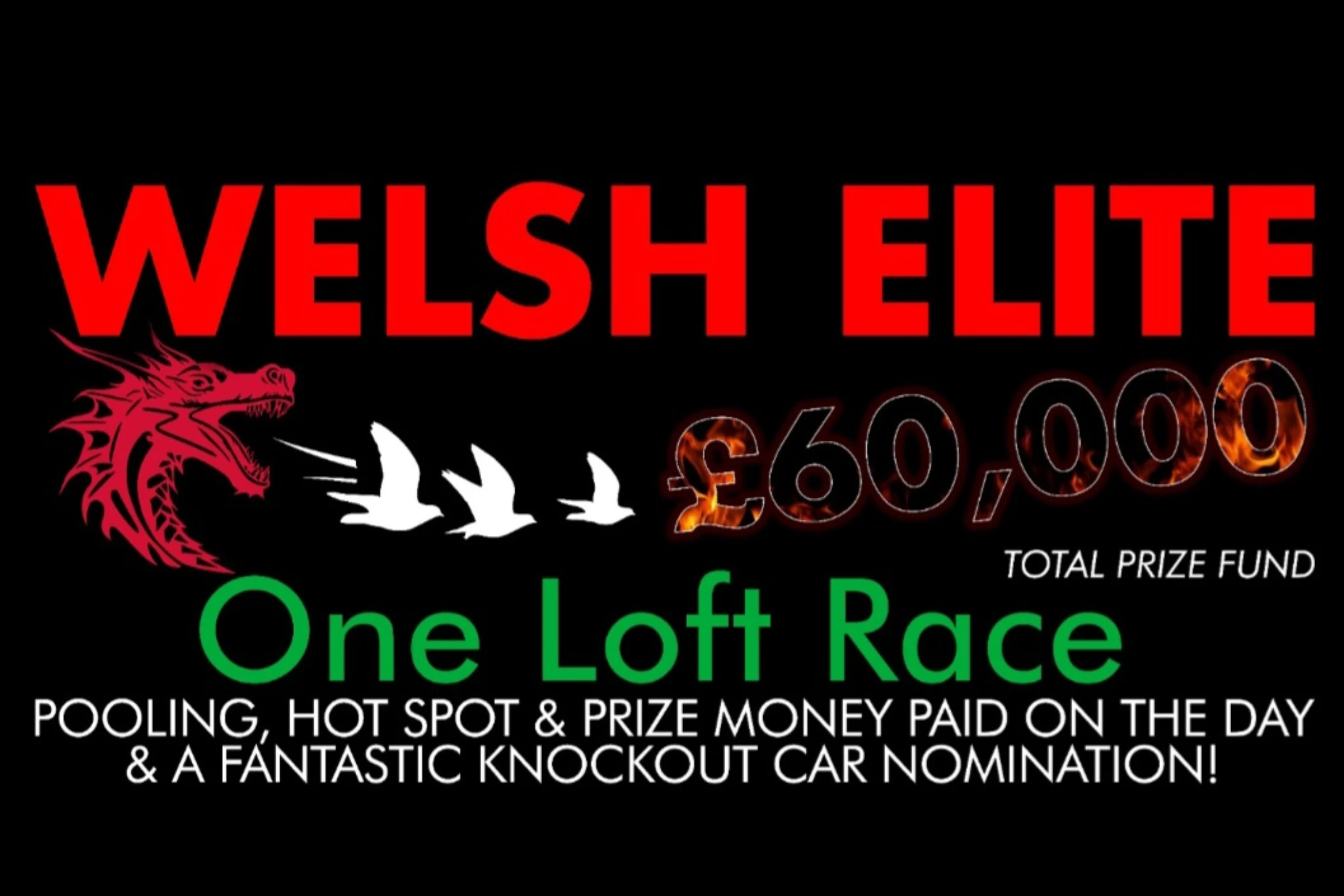 Welsh Elite OLR fotoğrafı